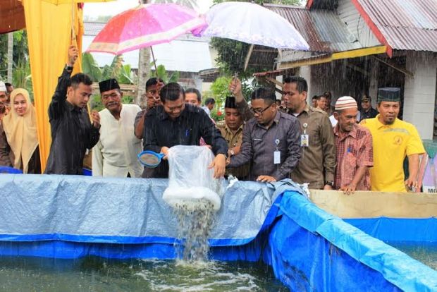 Meski Diguyur Hujan, Wali Kota Pekanbaru Semangat Tebar Bibit Lele di Tenayan Raya, Warga Penerima Bantuan: Kami Serasa Bermimpi