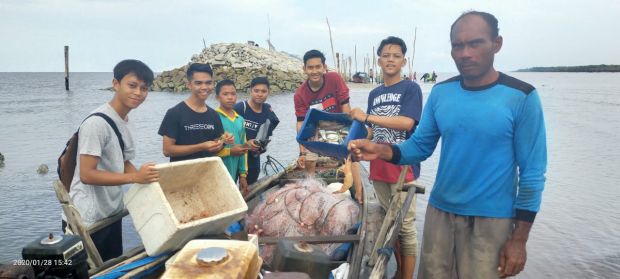 Tak Sekadar Cegah Abrasi, Ini Manfaat Turap Pemecah Gelombang bagi Nelayan Bengkalis