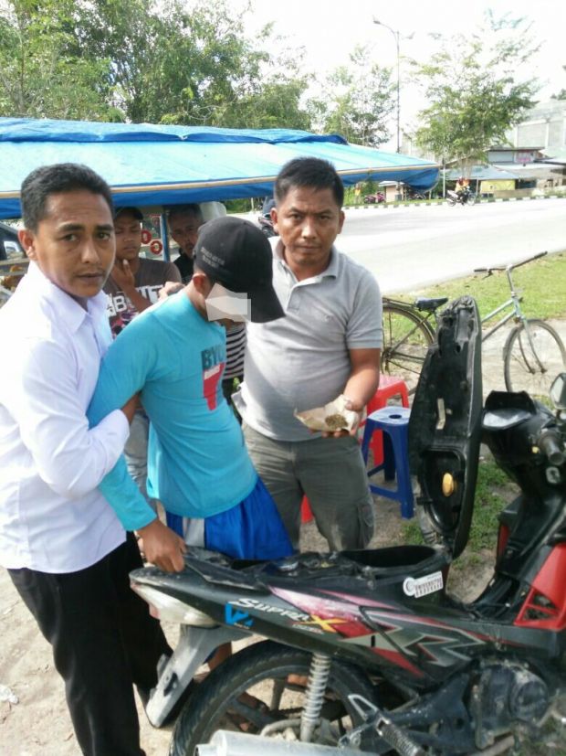 Simpan Daun Ganja Kering Dalam Jok Sepeda Motor Supra X125, Pemuda Kampung Buatan II Kecamatan Kotogasib Siak, Diamankan Polisi
