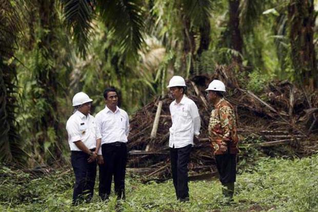 Presiden Jokowi Dijadwalkan Mengunjungi Riau pada 8-9 Maret