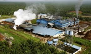 Pabrik Sawit Dibangun Tahun Ini di Kawasan Industri Tenayan Pekanbaru, Butuh 155 Ribu Pekerja