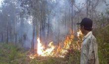 kepala-bnpb-99-persen-kasus-kebakaran-hutan-disengaja
