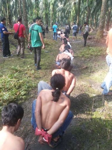 Polisi Tetapkan 2 Tersangka Bentrokan Pemuda Pancasila Vs Laskar Merah Putih di Tapung Hulu Kampar