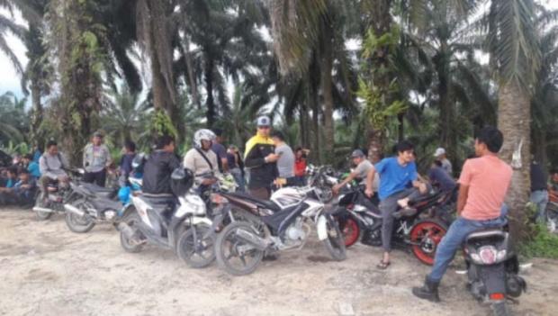 Pekerja Mogok, Aktivitas PT Sinar Utama Nabati di Kuantan Singingi Lumpuh