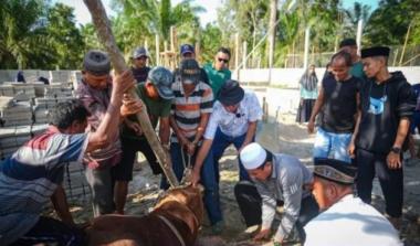 bsapi-kurban-bantuan-presiden-prabowo-untuk-kuantan-singingi-disembelih-di-inumanb