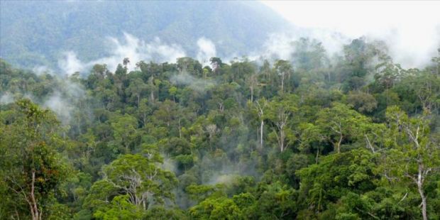 Bareskrim Turunkan Tim ke Riau Teliti SP3 Kasus Pembakar Lahan