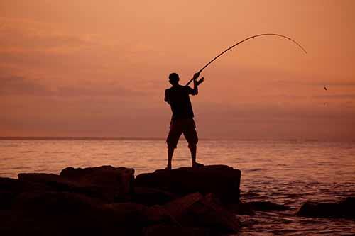 Kronologi Pemancing Tewas akibat Telan Ikan Hidup-hidup di Pelalawan