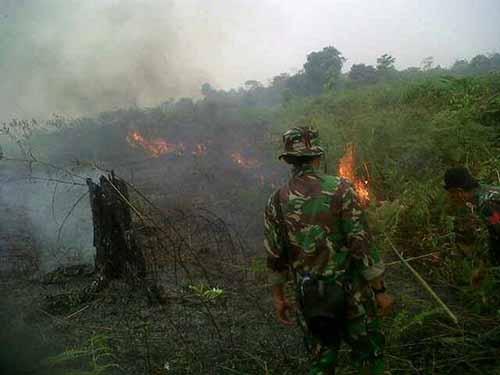 Tentara di Bengkalis Tangkap Tangan Seorang Terduga Pembakar Lahan, Pelakunya Karyawan Swasta di Kecamatan Mandau