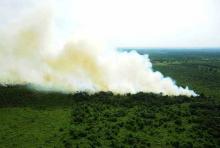 kebakaran-hutan-di-sumatera-meluas-hingga-7-provinsi-riau-sumbang-16-titik-panas