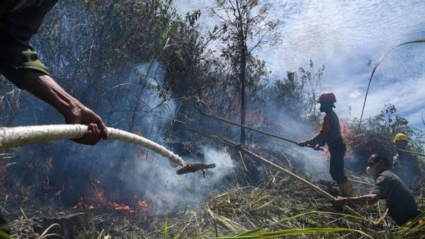 <b>Hari Ini, <i>Hotspot</i> Terbanyak di Provinsi Riau Terdeksi di Kabupaten Rokan Hilir</b>