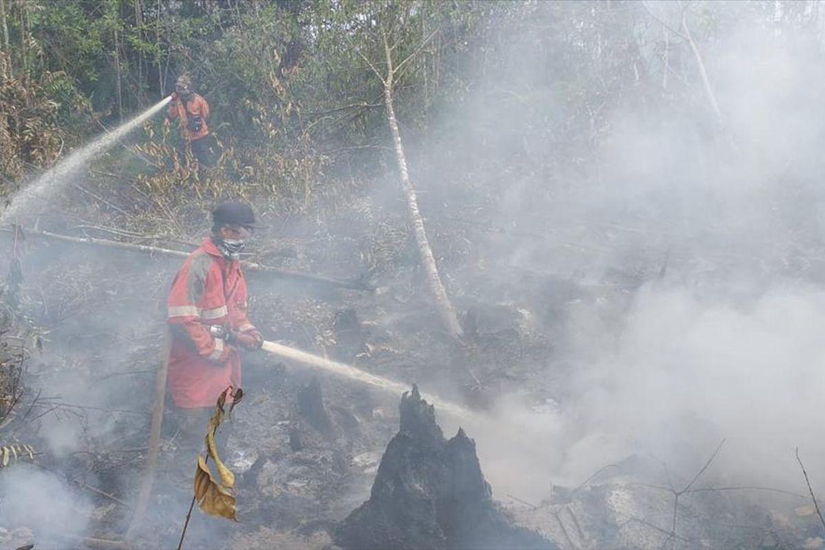 <b>Tersangka pembakar hutan dan lahan di Riau bertambah jadi 51 orang</b>
