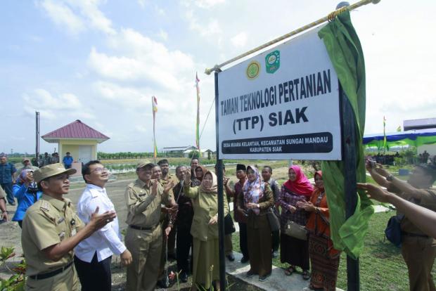 Benih Sering Didatangkan dari Luar Daerah, Wabup Alfedri: <i>Soft Launching</i> TPP Ini Menjadi Harapan Baru bagi Kabupaten Siak dan Provinsi Riau....