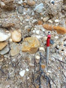 170-benda-arkeologi-ditemukan-di-kawasan-logas-kuantan-singingi-gubernur-syamsuar-ini-sebagai-bukti