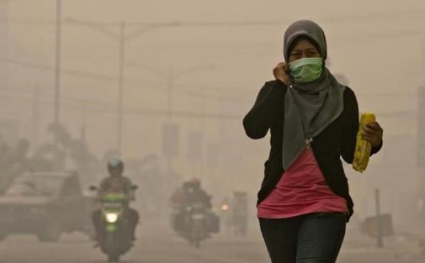Alhamdulillah... Hari Ini Udara Riau Berangsur Membaik, Hujan Masih Berpeluang Turun Lagi