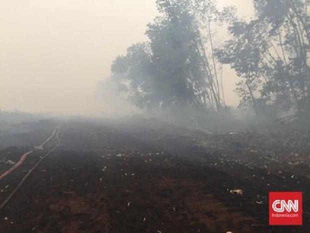 Meski Diguyur Hujan 5 Jam, Api di Sumatera Selatan Belum Juga Padam, Asap Kembali Mengepul