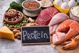 bdinas-kesehatan-indragiri-hilir-jelaskan-asupan-protein-sumber-energi-bagi-tubuhb