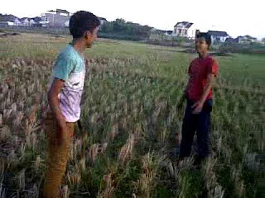 Dua Pemuda di Desa Sikakak Cerenti Kuansing Cekcok lalu Bergumul di Tengah Sawah, Seorang Berhasil Meraih Parang dan Menebas Lawannya