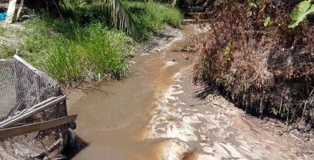Diduga Cemari Sungai, PT SIR Dilaporkan ke DLHK Riau