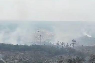 bsudahlah-gundul-kini-hutan-lindung-bukit-suligi-riau-terbakarb