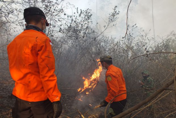 SP3 Kasus 15 Perusahaan yang Disangka Bakar Hutan di Riau Dinilai Preseden Buruk Penegakan Hukum