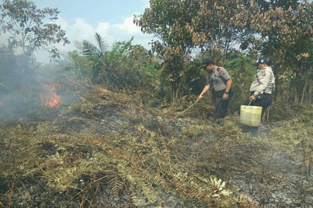 Puluhan Hektar Lahan dan Kebun Sawit PT SAGM Terbakar di Indragiri Hilir