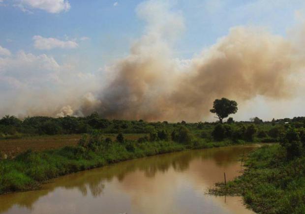 Asap akibat Kebakaran Hutan dan Lahan di Riau Berpotensi Mengarah ke Malaysia dan Singapura