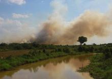 asap-akibat-kebakaran-hutan-dan-lahan-di-riau-berpotensi-mengarah-ke-malaysia-dan-singapura