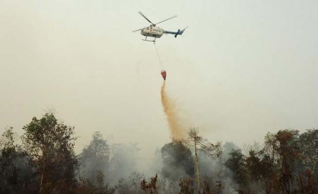 Udara Riau Diklaim Membaik setelah Sempat Tercemar Asap akibat Karhutla