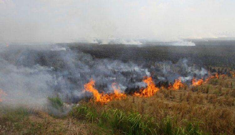 <b>Jumlah <i>Hotspot</i> di Riau Semakin Bertambah dan Terbanyak di Sumatera</b>