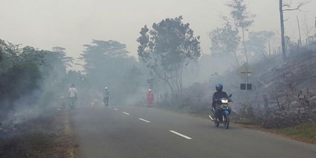 Segala Cara Atasi Kebakaran Hutan Riau, Menhut: Titik Api Kita Kejar, Pembakarnya Harus Dihukum!