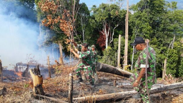 Prajurit TNI dari Sumut Dikerahkan Padamkan Kebakaran Hutan di Riau