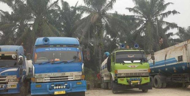 ”Kencing CPO” di Riau Marak, DPR Susun Regulasi Tata Niaga Sawit