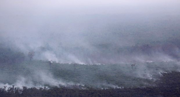 Rokan Hilir Sumbang Titik Kebakaran Hutan Terbanyak di Riau