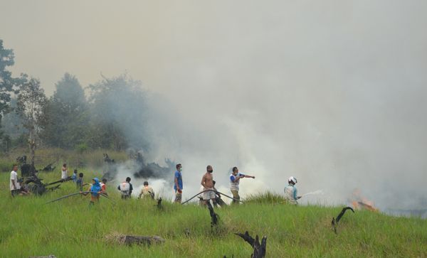 Warga Riau Diduga Hilang saat Bantu Padamkan Kebakaran Lahan