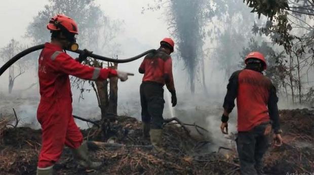 Anggota BPBD Indragiri Hilir Terkena ISPA Usai Berjibaku Padamkan Kebakaran Hutan