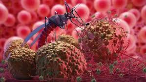 <b>Dinas Kesehatan Riau Turunkan Tim ke Kateman Inhil Pascaditemukan 22 Kasus Malaria</b>