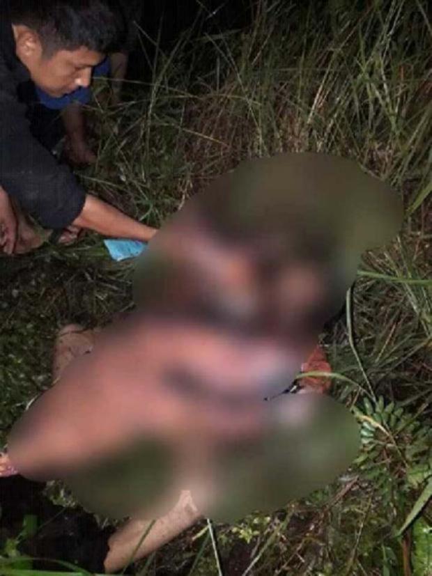 Pemerkosa dan Pembunuh Siswi SD di Rokan Hilir Pernah Membunuh Wanita Tua