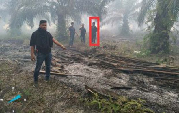 Pak Rajin Ditangkap Polisi Gara-Gara Bersihkan Lahan dengan Membakar di Siak