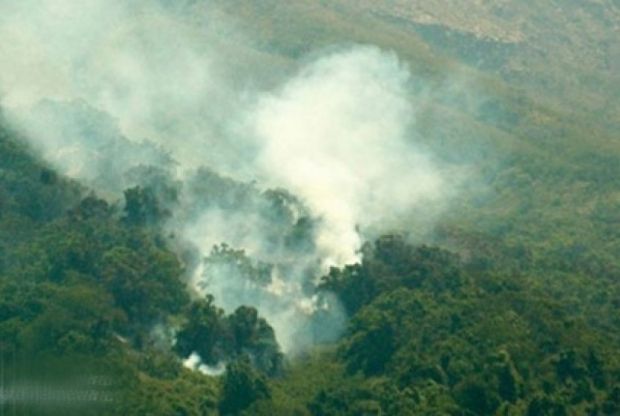 Satu Titik Api Terdeteksi di Kabupaten Rokan Hulu