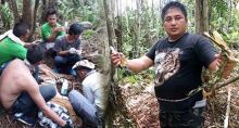 harimau-sumatera-ditemukan-terluka-terkena-jerat-di-konsesi-hti-pt-rapp