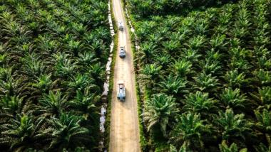 bproses-hukum-lanjutan-dinilai-belum-maksimal-satgas-pkh-diminta-segera-tuntaskan-kasus-hutan