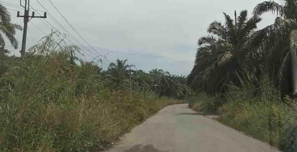 <b>Jalan Rusak dan Semak Mengancam Pengendara di Rohul, Warga Minta Gubernur Riau Turun Tangan</b>