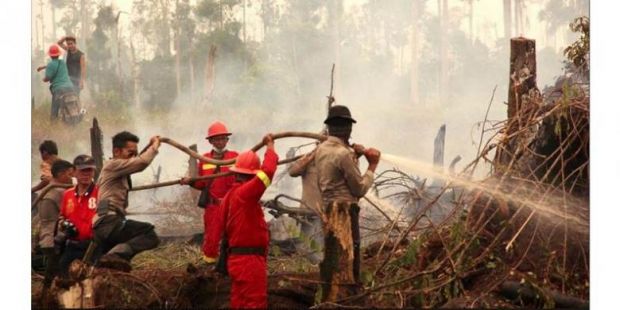 Waspadalah, Riau di Ambang Bencana Asap