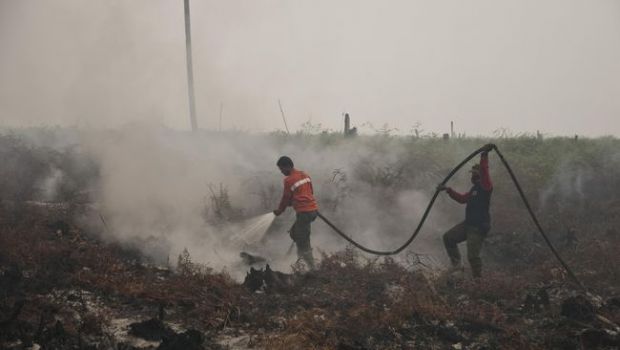 Kabut Asap, Riau Sumbang Titik Panas Terbanyak se-Indonesia
