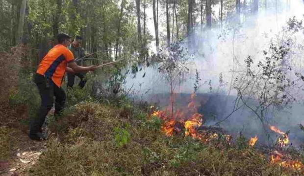 ”Nyanyian” Epet Ungkap Pelaku Pembakar Lahan di Desa Kototandun Rokan Hulu
