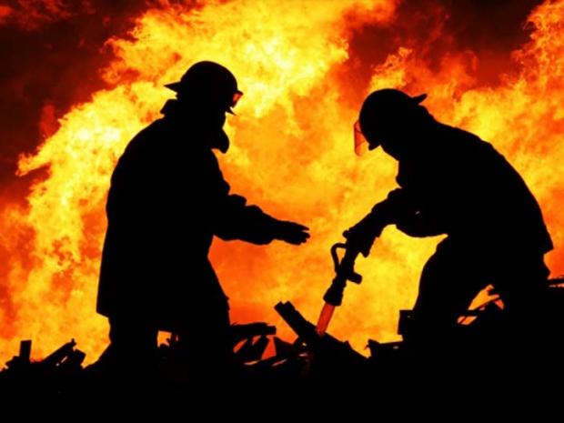 Terlampau Fokus Padamkan Karhutla, Pemerintah Dinilai Belum Optimal Pulihkan Lahan Bekas Kebakaran