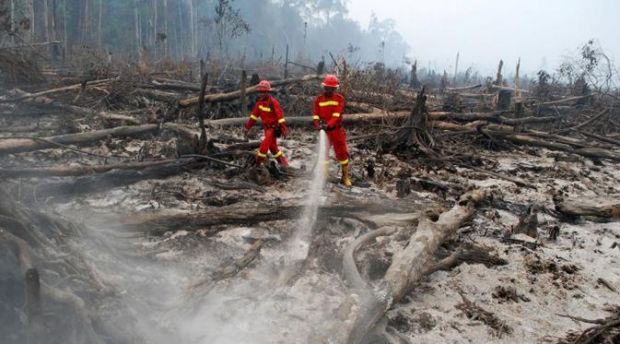 17 Perusahaan Pembakar Lahan di Riau Dijerat Pasal Berlapis