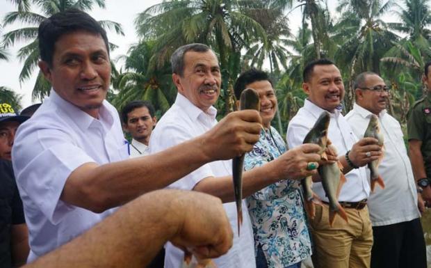 Kedatangan Gubernur Riau ke Desa Kotomasjid Buka Jalan Ekspor Ikan Patin Kampar