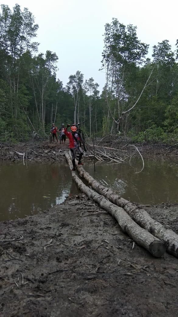 200 Pesepeda Datang ke Indragiri Hilir Menyisir Hutan <i>Mangrove</i> dari Belingkas hingga Pantai Solop