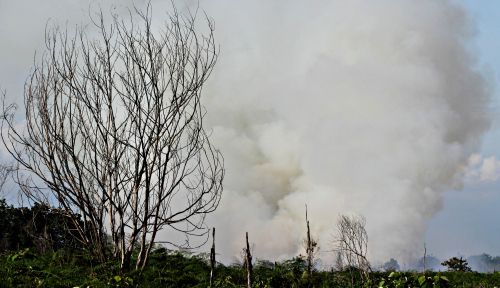 Titik Api Muncul Lagi di Riau Jelang Pergantian Tahun